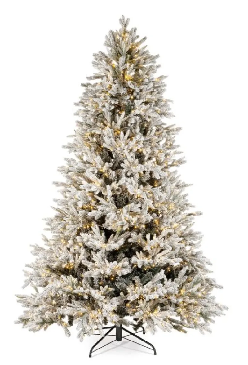 Online Bizzotto ALBER BERKSHIRE INN H240-6428R 2500L