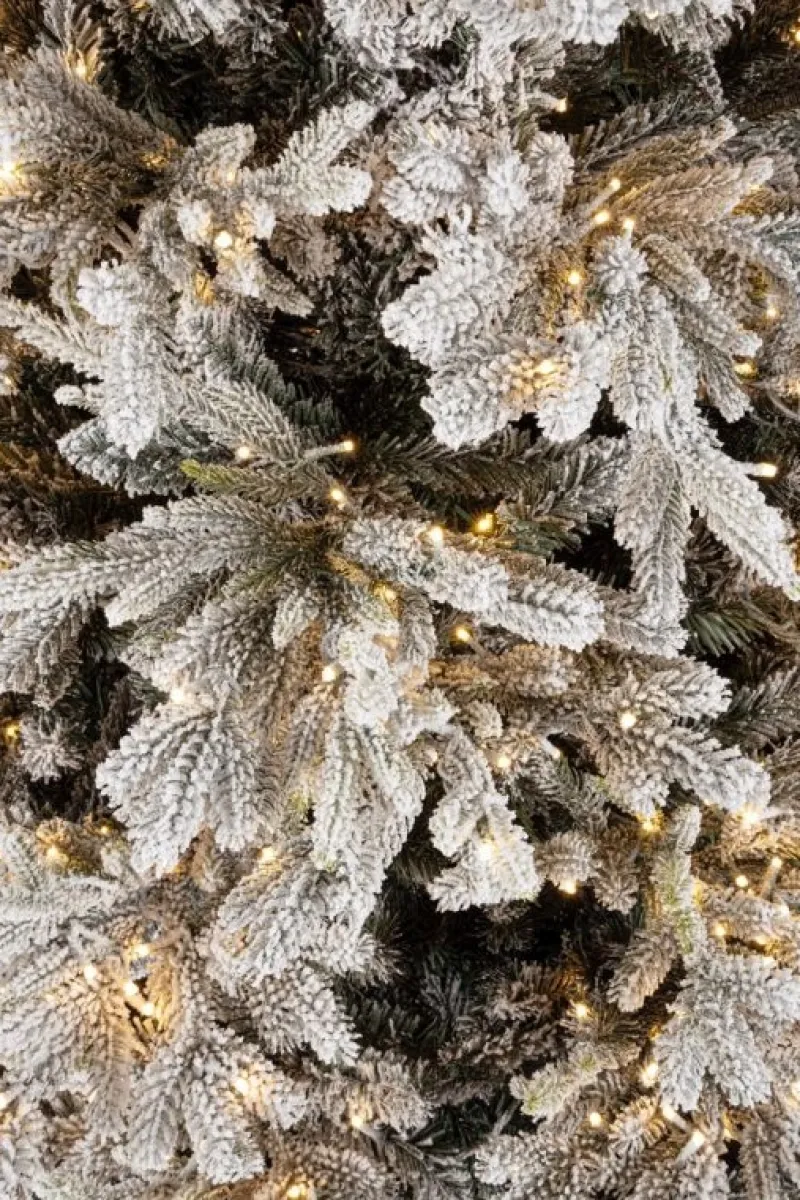 Online Bizzotto ALBER BERKSHIRE INN H240-6428R 2500L