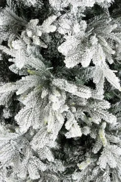 Best Bizzotto ALBER BERKSHIRE INN H210-4943R 1900L