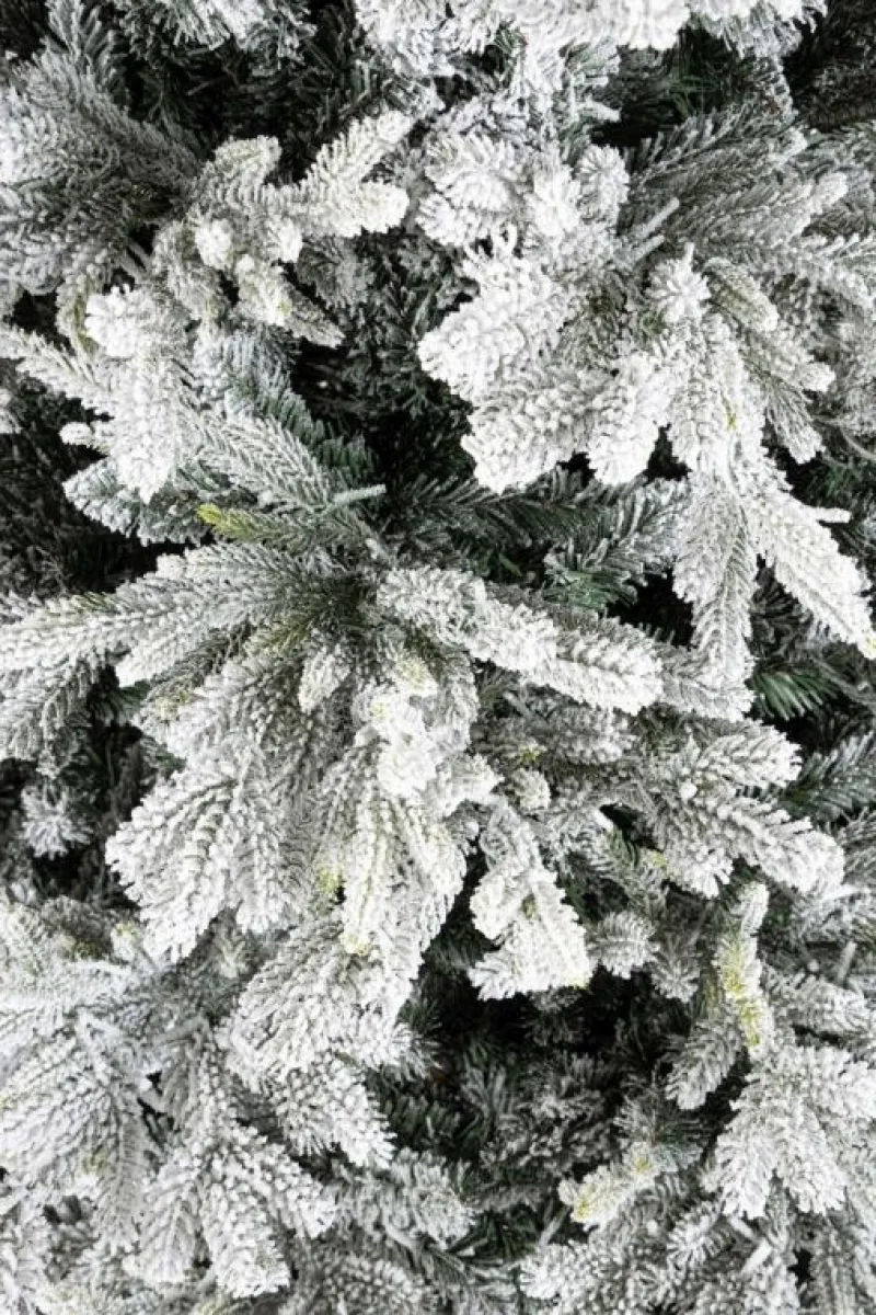 Best Bizzotto ALBER BERKSHIRE INN H210-4943R 1900L