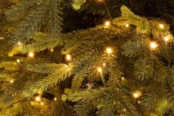 Outlet Bizzotto ALBERO BERKSHIRE H240-7456RAMI 2500LED