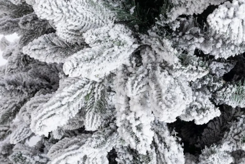 Clearance Bizzotto ALBERO FREJUS INNEVATO H240-2949RAMI