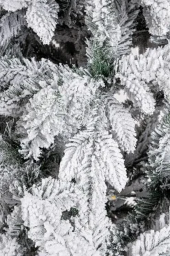 Hot Bizzotto ALBERO HARVARD INNEVATO H240-2487RAMI