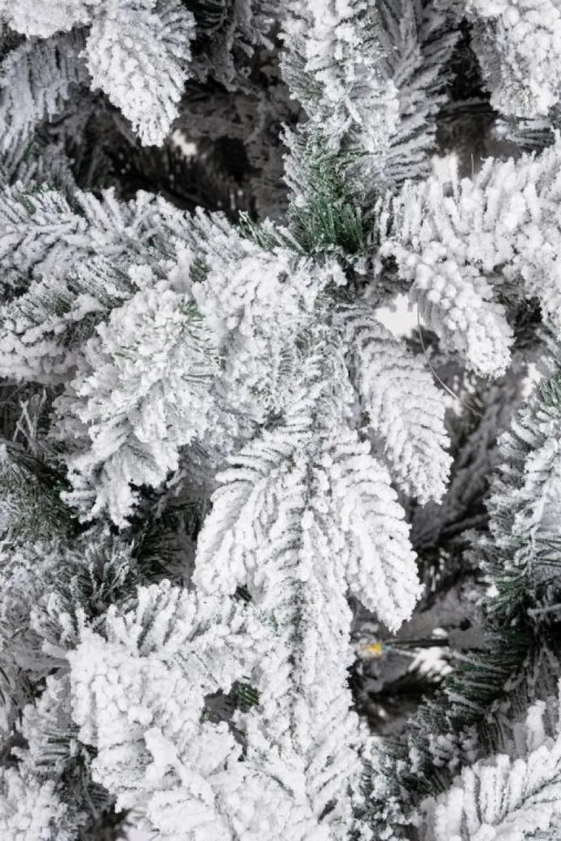 Hot Bizzotto ALBERO HARVARD INNEVATO H240-2487RAMI