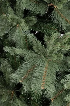 Best Bizzotto ALBERO HUBBARD H180-1711RAMI