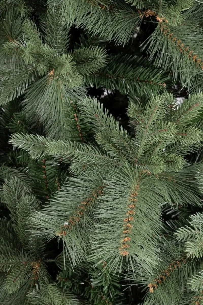 New Bizzotto ALBERO HUBBARD H210-2359RAMI