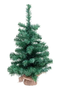 Hot Bizzotto ALBERO INNSBRUCK H60