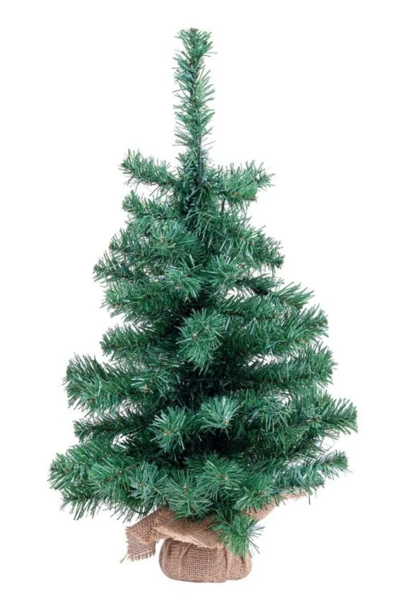 Hot Bizzotto ALBERO INNSBRUCK H60