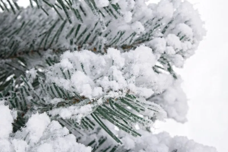 Sale Bizzotto ALBERO INNSBRUCK INNEVATO H60