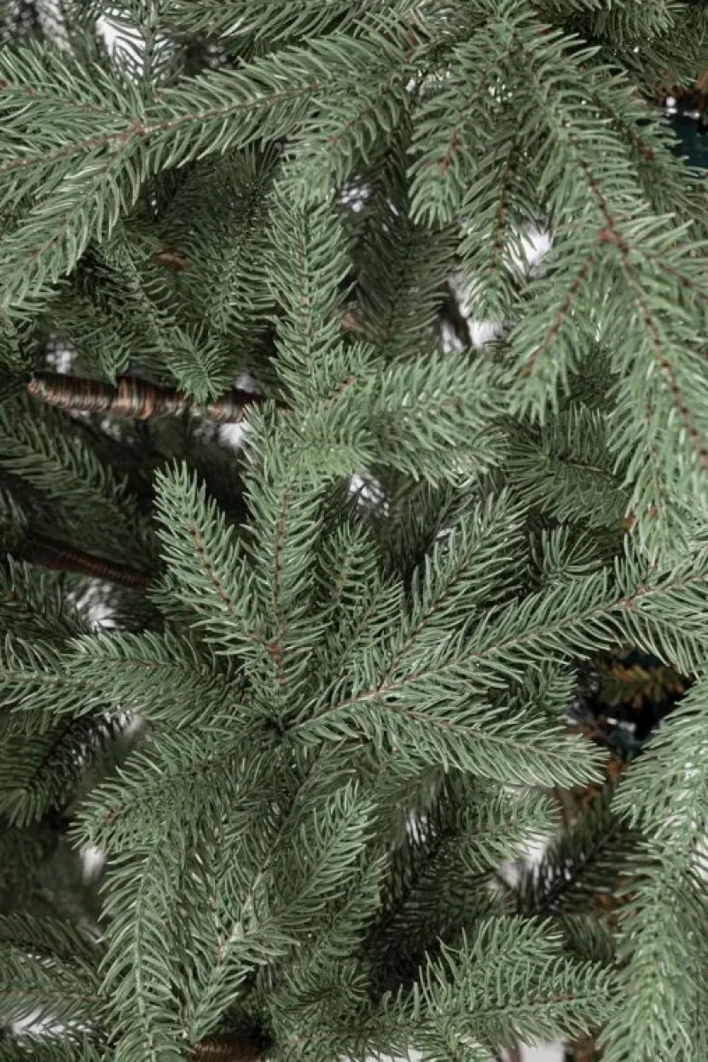 Clearance Bizzotto ALBERO MUIR H180-2295RAMI