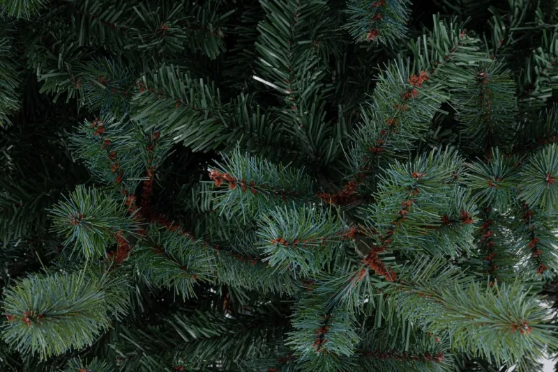 New Bizzotto ALBERO SERRONE GLAUCO H180-1068RAMI