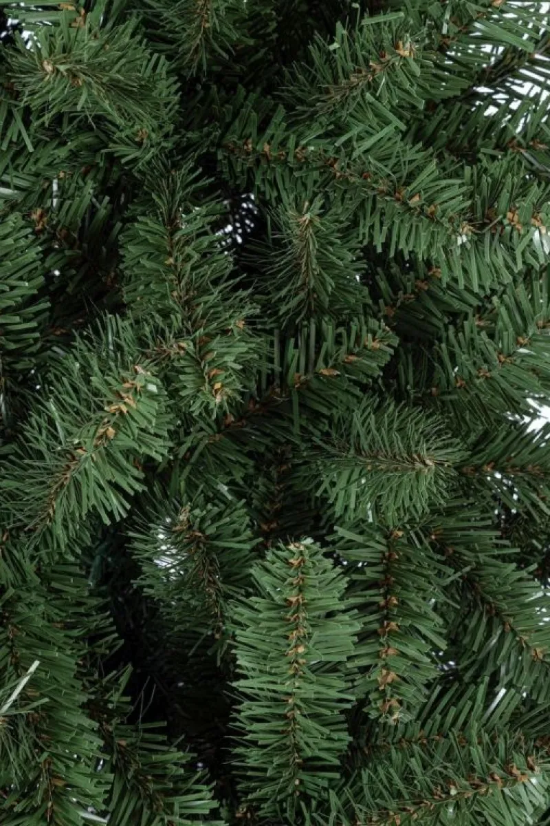 Bizzotto ALBERO SLIM KRONPLATZ H180-645RAMI