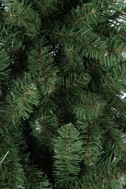 Best Bizzotto ALBERO SLIM KRONPLATZ H150-497RAMI