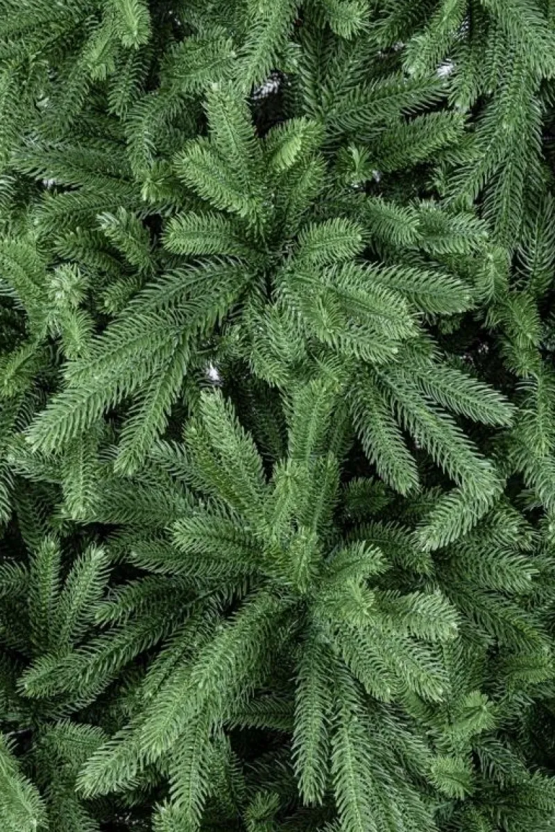 Bizzotto ALBERO TIROLO H210-950RAMI