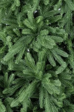 New Bizzotto ALBERO TIROLO H180-680RAMI