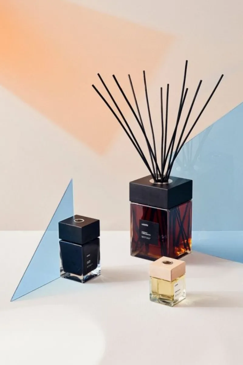 Online Bizzotto DIFFUSORE FRAGR UVA NERA MIRTILLO 500ML