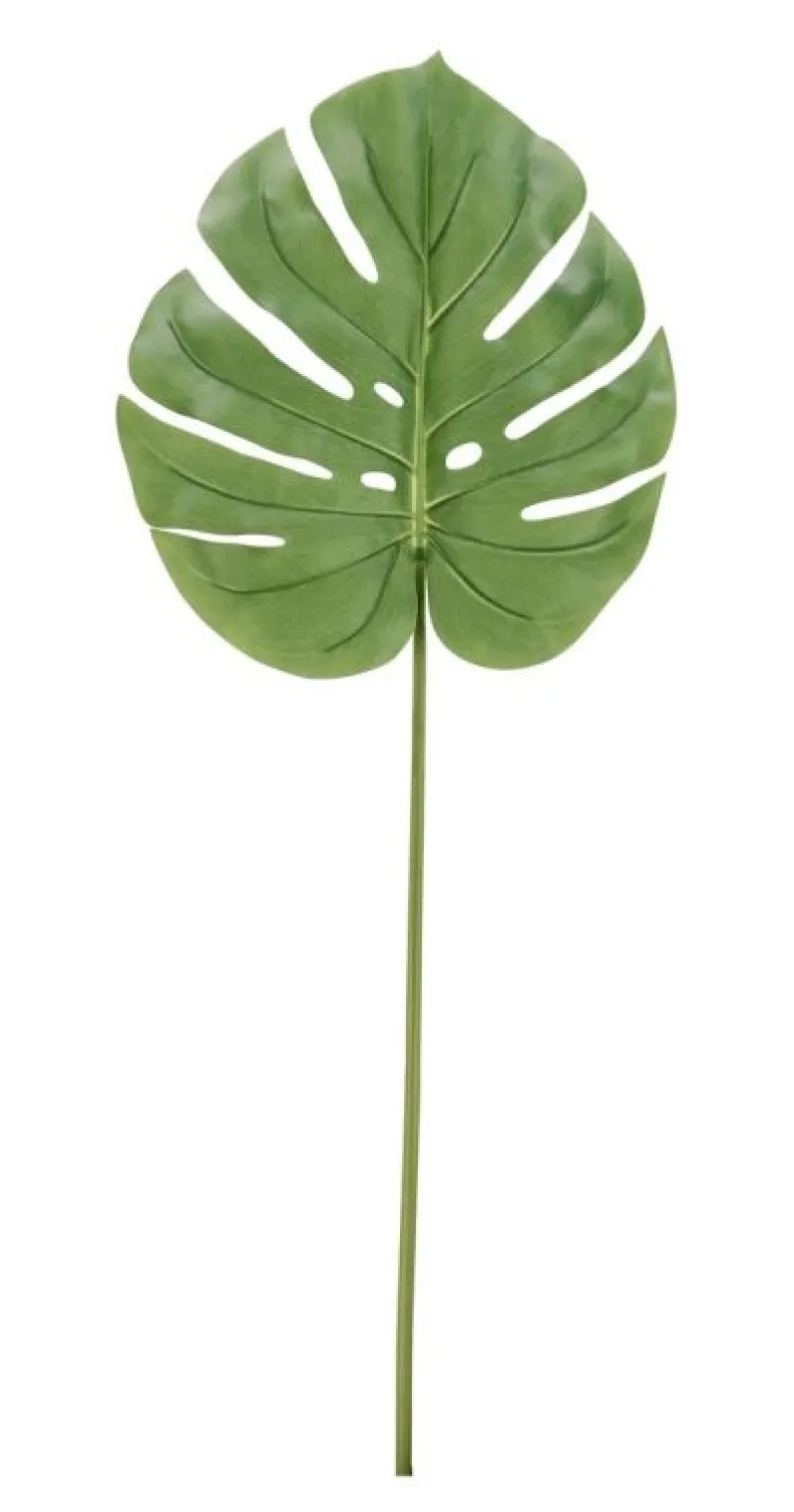 Hot Bizzotto FOGLIA FILODENDRO TOMMY VERDE H105CM