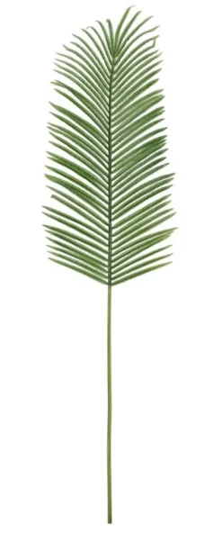 Hot Bizzotto FOGLIA PALMA PHOENIX VERDE H150CM