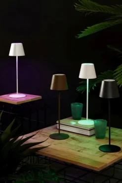 Outlet Bizzotto LAMPADA TAV. LED ETNA MARRONE H38