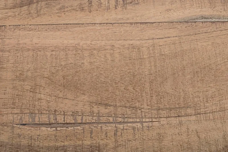 Hot Bizzotto MOBILE BAR IN LEGNO - ELMER