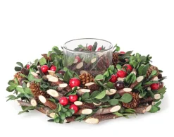 New Bizzotto P.CANDELA 1P ELOISE TO C-BACCA D23