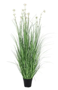 Online Bizzotto PIANTA ALLIUM C-VASO H110