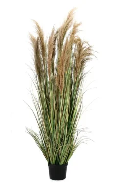 Outlet Bizzotto PIANTA AUSTORDERIA PAMPAS C-VASO H180