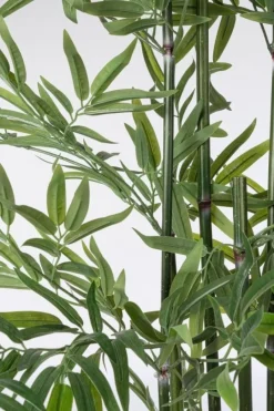 Online Bizzotto PIANTA BAMBOO C-VASO H150