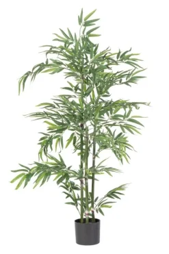 Online Bizzotto PIANTA BAMBOO C-VASO H130