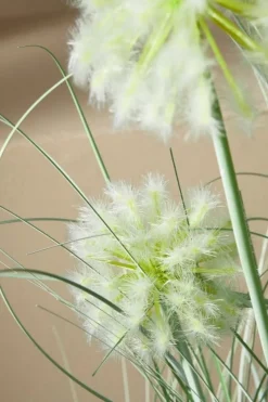 Outlet Bizzotto PIANTA CEBOLLA BIANCO C-VASO X4F H75