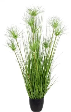 Discount Bizzotto PIANTA DESERTO VERDE C-VASO X9F H120