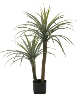 Hot Bizzotto PIANTA DRACAENA C-VASO H110