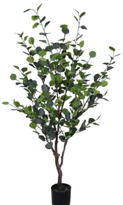 Online Bizzotto PIANTA EUCALIPTO C-VASO H150