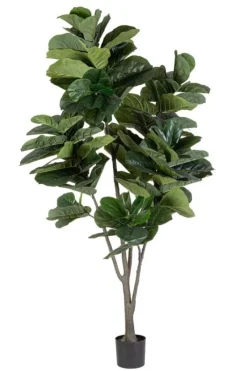 Online Bizzotto PIANTA FICUS LYRATA C-VAS 123FOGLIE H230