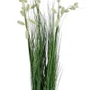 Best Bizzotto PIANTA GREVILLEA BIANCO C-VASO X5F H100