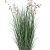Sale Bizzotto PIANTA GREVILLEA ROSA C-VASO X9F H150