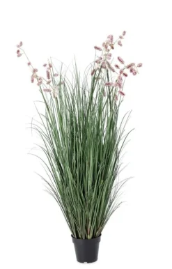 Sale Bizzotto PIANTA GREVILLEA ROSA C-VASO X9F H150