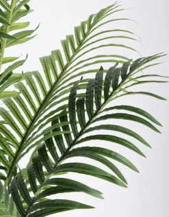 Clearance Bizzotto PIANTA KENZIA C-VASO 17FOGLIE H160