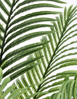 Outlet Bizzotto PIANTA KENZIA C-VASO 15FOGLIE H140