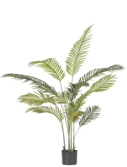 Sale Bizzotto PIANTA KENZIA C-VASO 14FOGLIE H120