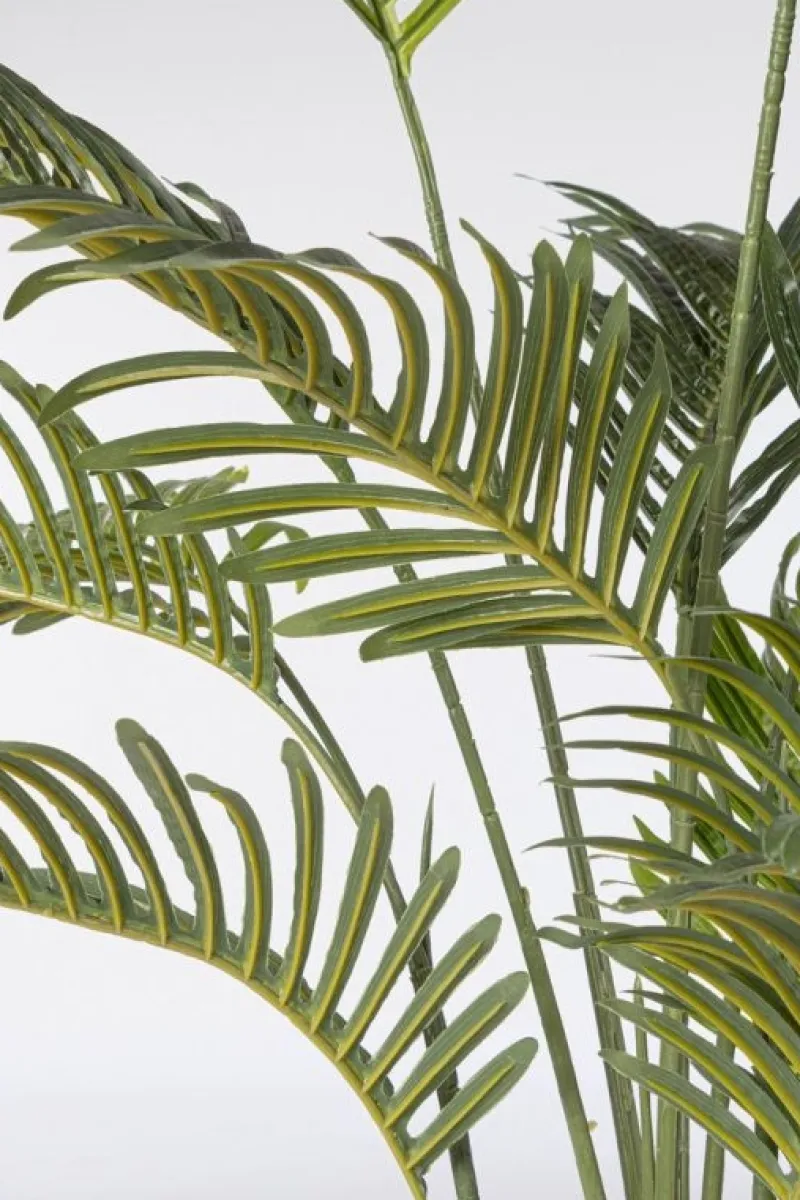 Sale Bizzotto PIANTA KENZIA C-VASO 14FOGLIE H120