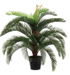Outlet Bizzotto PIANTA PALMA CYCAS C-VASO 30FOGLIE H100