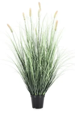 Bizzotto PIANTA PENNISETUM C-VASO H90
