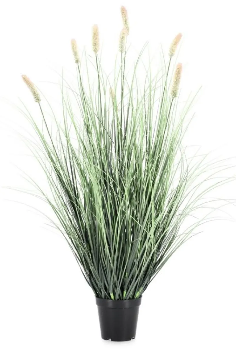 Bizzotto PIANTA PENNISETUM C-VASO H90