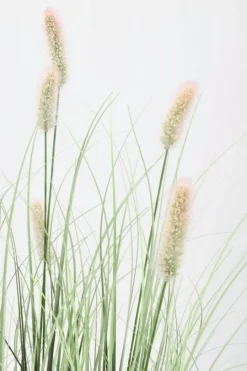 Bizzotto PIANTA PENNISETUM C-VASO H90