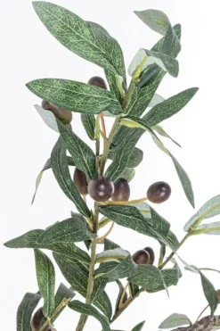 Discount Bizzotto PIANTA ULIVO C-VASO 984FOGLIE H156