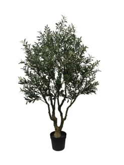 Discount Bizzotto PIANTA ULIVO C-VASO H210