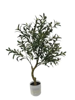 Online Bizzotto PIANTA ULIVO C-VASO H90