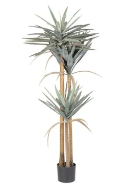 Sale Bizzotto PIANTA YUCCA C-VASO 120FOGLIE H152