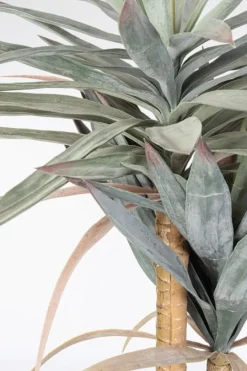 Sale Bizzotto PIANTA YUCCA C-VASO 120FOGLIE H152